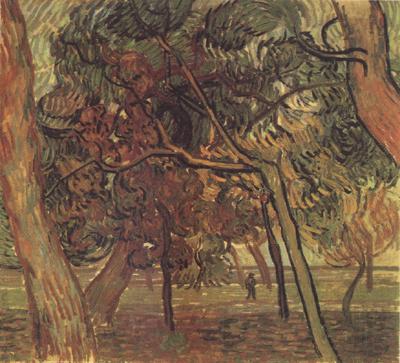 Vincent Van Gogh Study of Pine Trees (nn04) France oil painting art